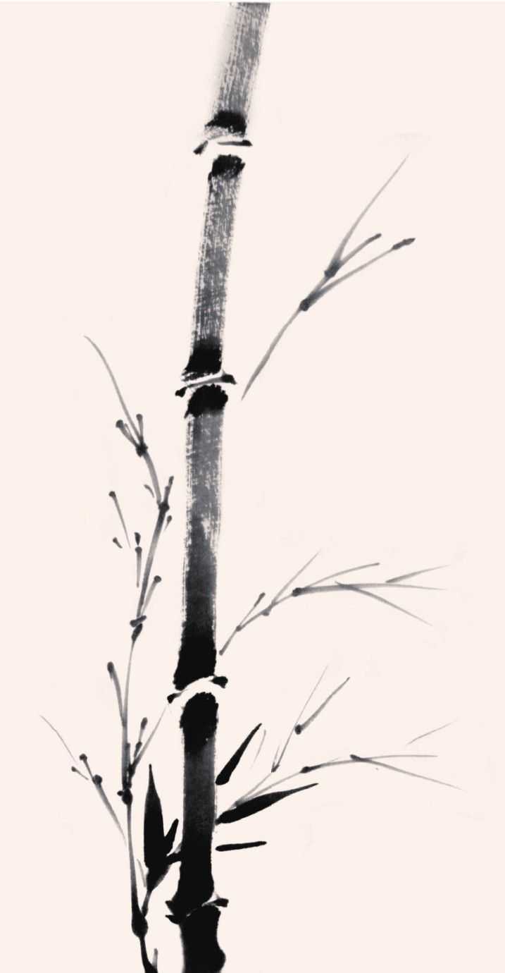 竹子写意画法：分步骤讲解新竹画法，简单易学，学会几分钟一幅画