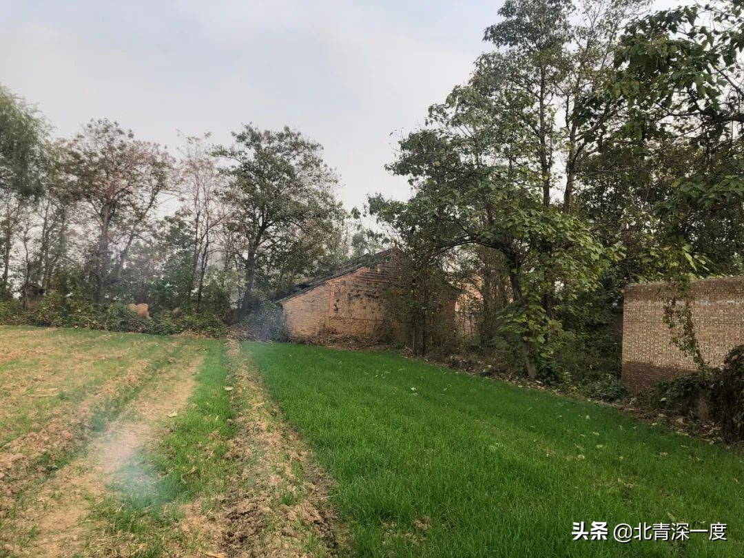 15岁少年被围殴致死并遭埋尸：6名嫌疑人均未成年，曾幻想至少瞒到过年