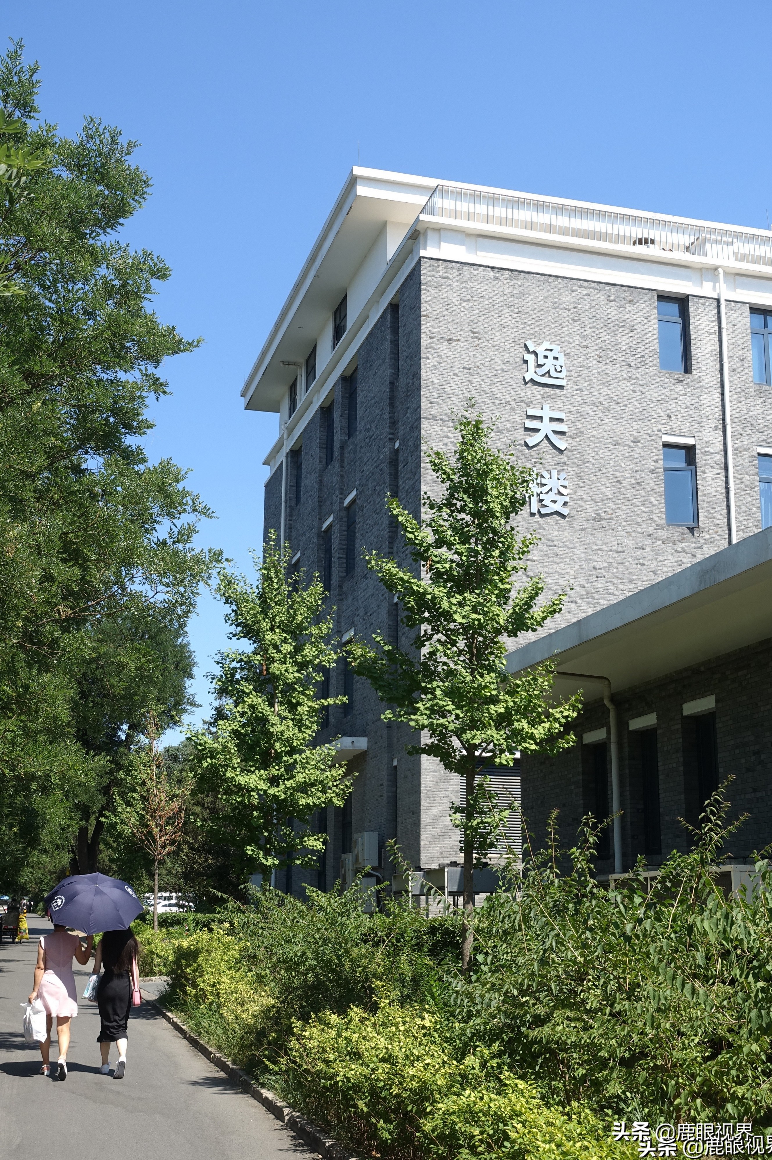 北大风光（二）北大的每一幢房屋都是标志性建筑