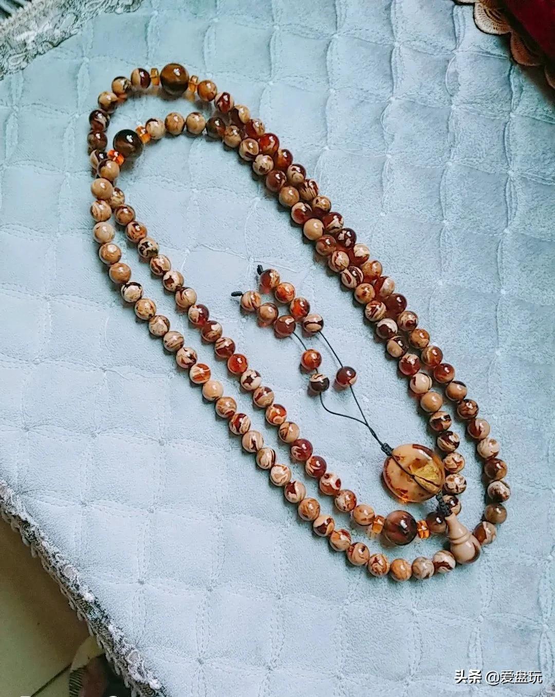 玳瑁价格多少钱一只(一种硬度很高的琥珀) - 价格百科