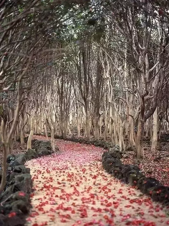 世界极致美景，一睹为快！