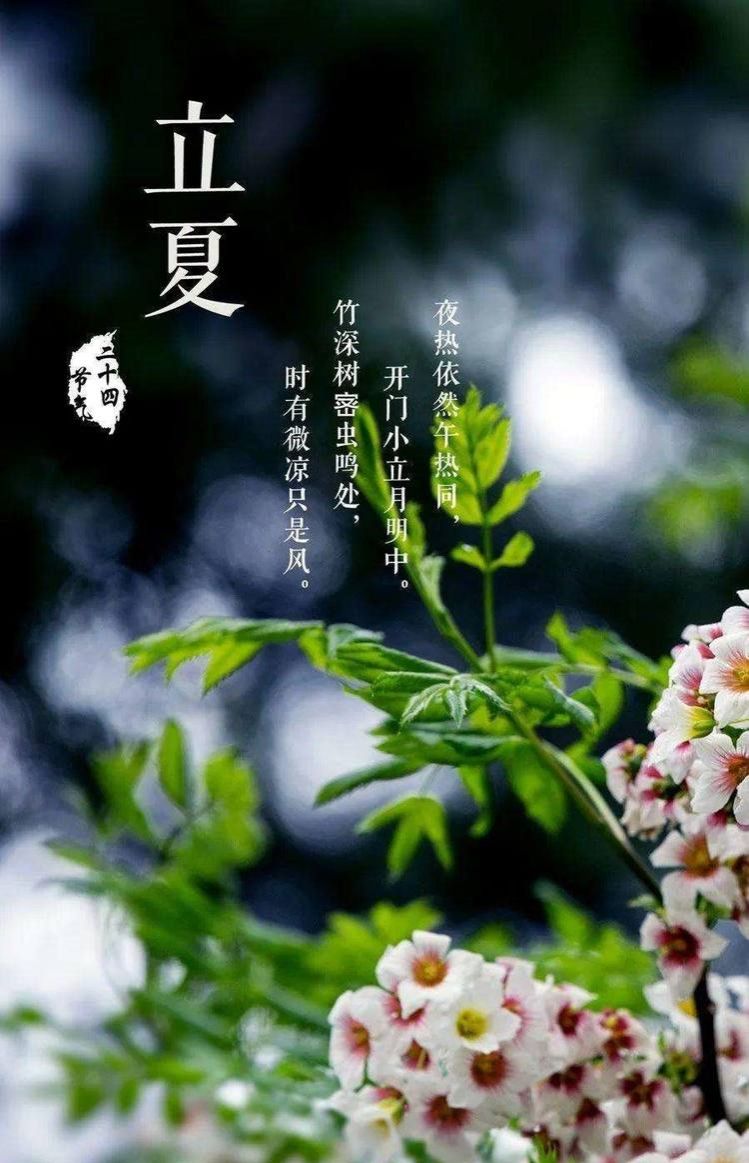 风暖人间草木香，一笺清浅入夏来