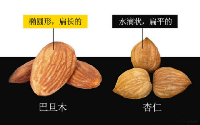 用数据说话：“巴旦木”有毒，多吃有害，请勿大量馋嘴…