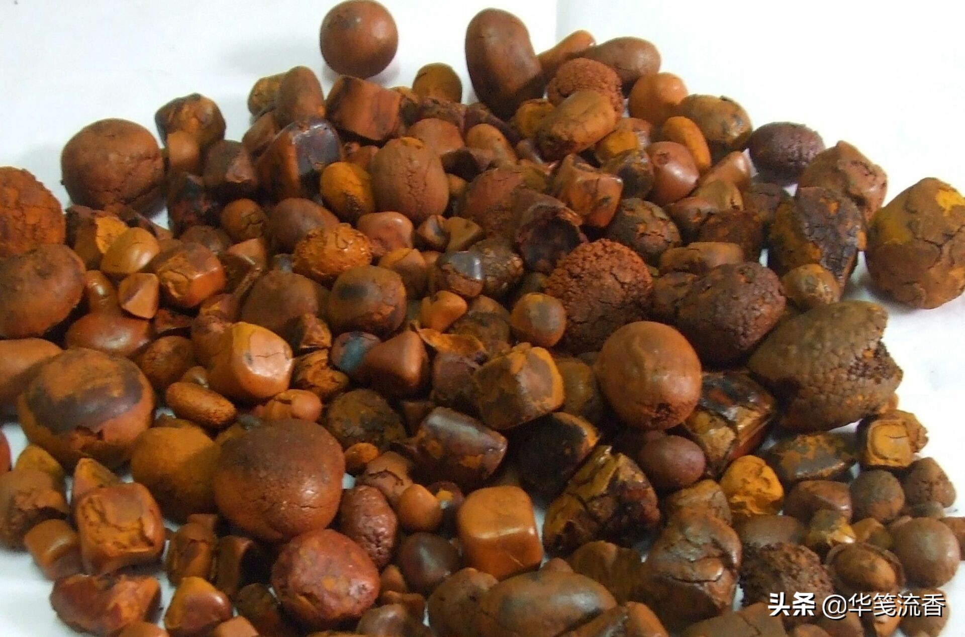 它是牛胃肠道里的结石,小者如弹丸,大者如篮球,大部分大小如同乒乓球