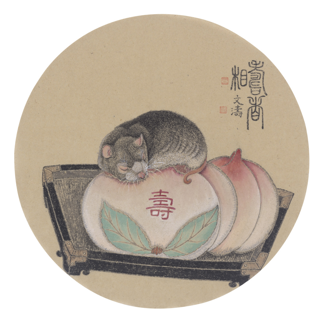 灵鼠物语 萌翻你我——记青年画家王文涛的鼠年画鼠