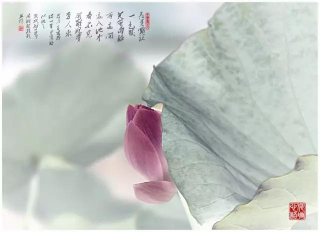 最是缠绵花间词，美到落泪