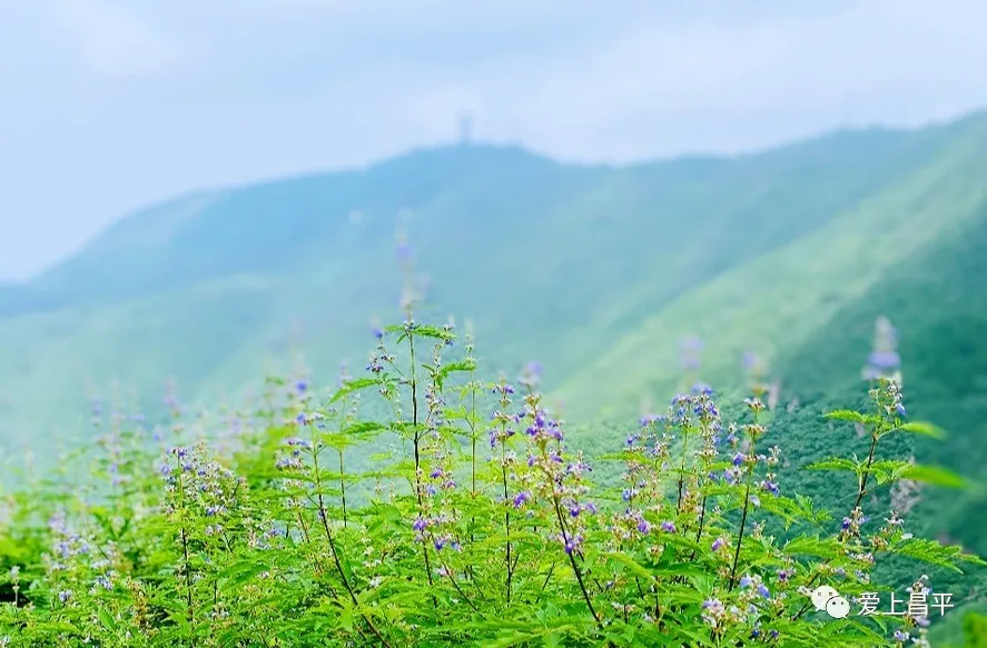 9月初秋微凉，京郊这几个醉美登山地等你来