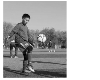 高中物理题根之一：《匀变速直线运动的规律》