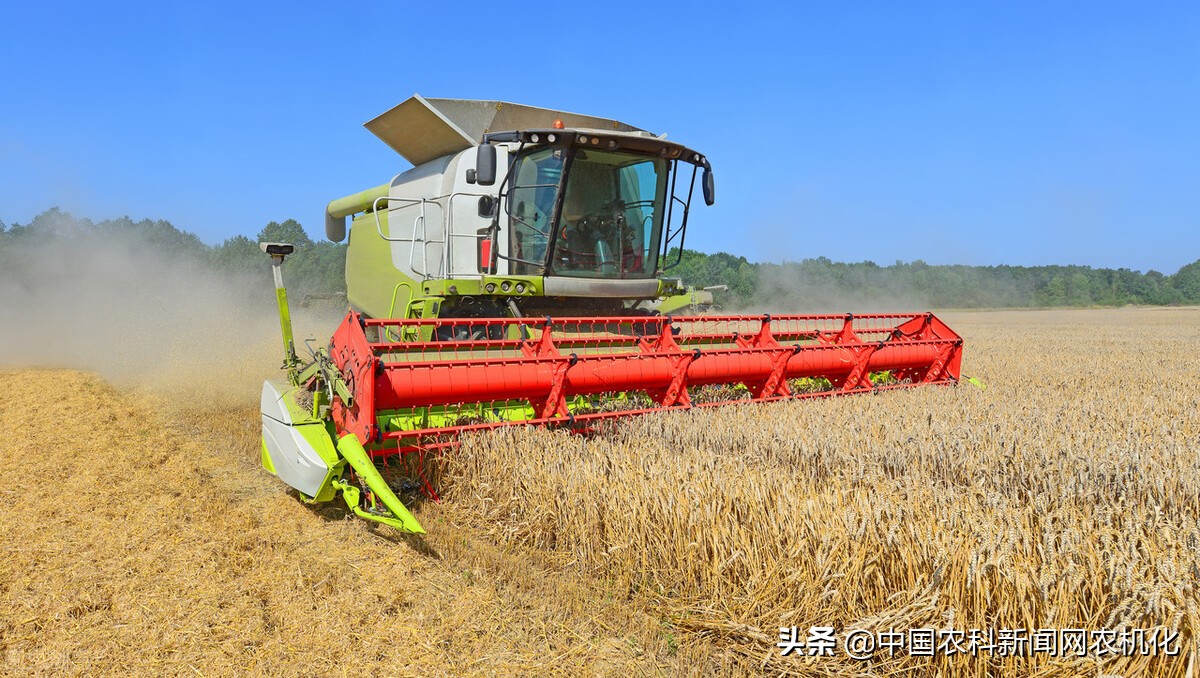 寶雞出臺倒伏小麥機(jī)械收獲減損“322”操作技術(shù)要點(diǎn)