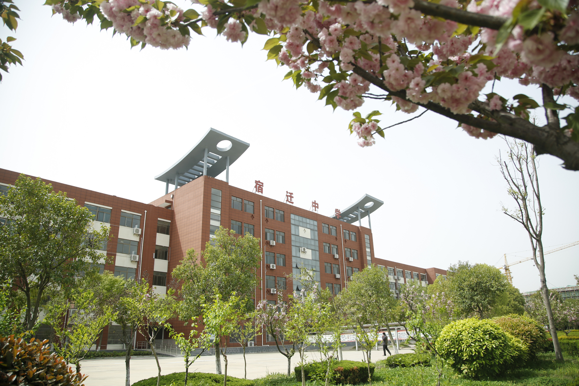 泗洪中学2017高考成绩(泗洪中学2022高考状元)-爱妻自媒体