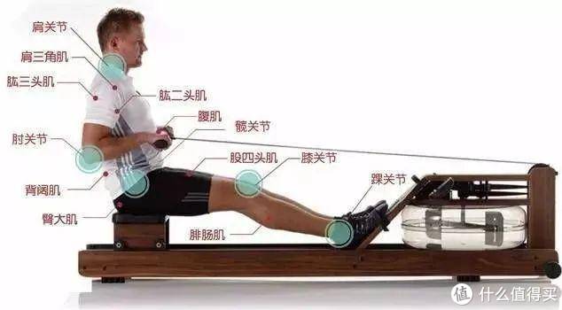 四大有氧器械哪個減肥最好？是劃船機！Mok劃船機真人評測
