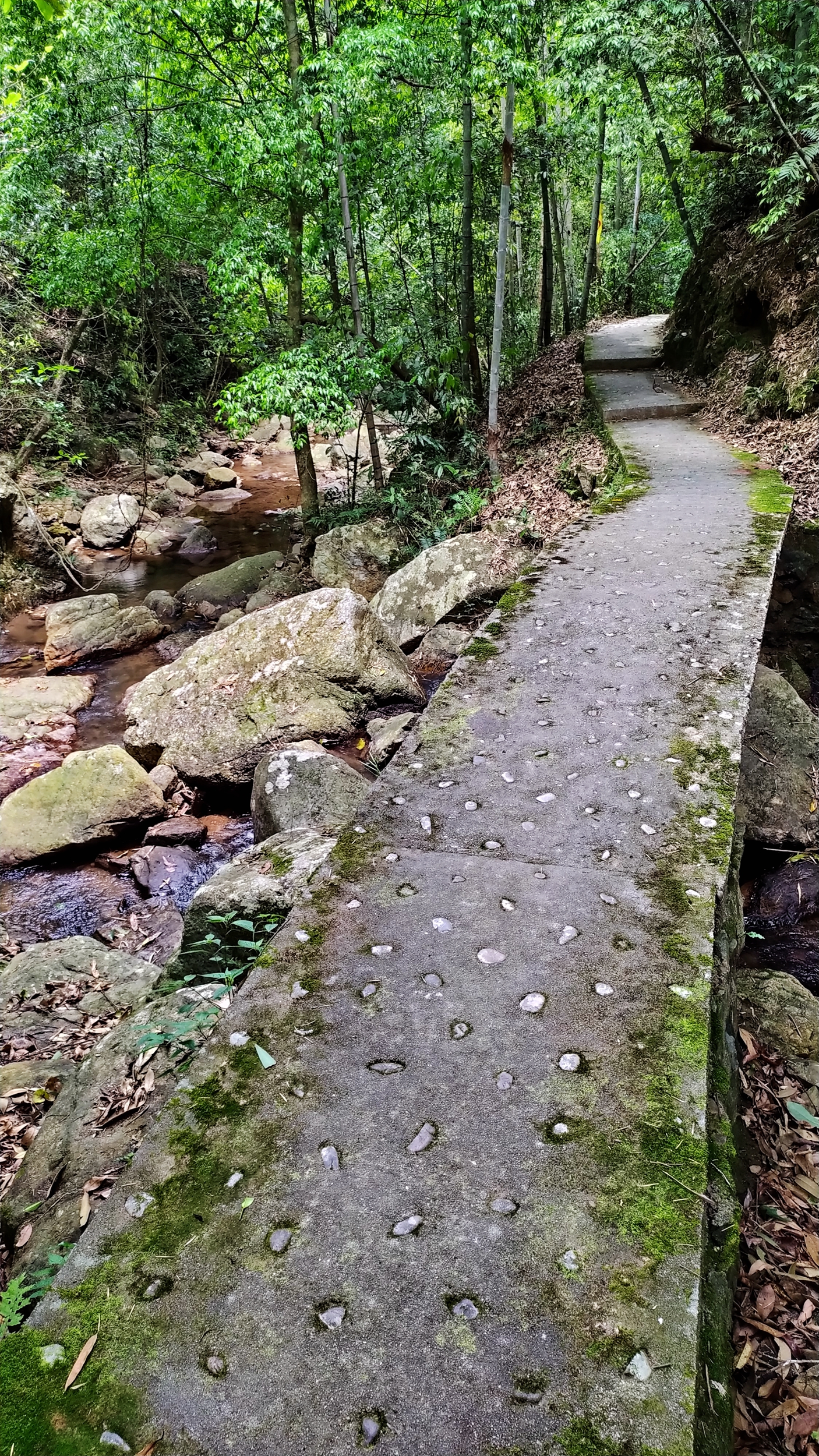 兰溪自驾游哪里好(离城市最近的国家森林公园！崇义阳明山是一个自驾游的好地方)