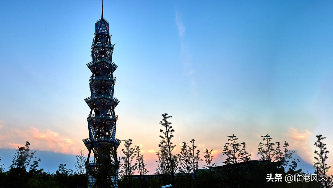 上海科技大学与曾经存在过的上海科学技术大学