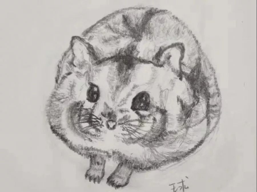 西北大学2019款学霸宿舍：6女生集体保研，19份名校offer