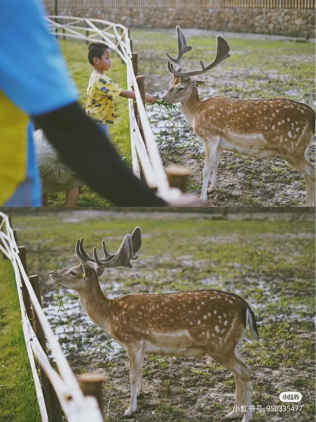 基建狂魔，天津