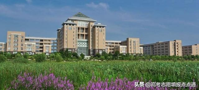 武汉科技大学优势专业分析及2019、2018、2017年各省录取分数线