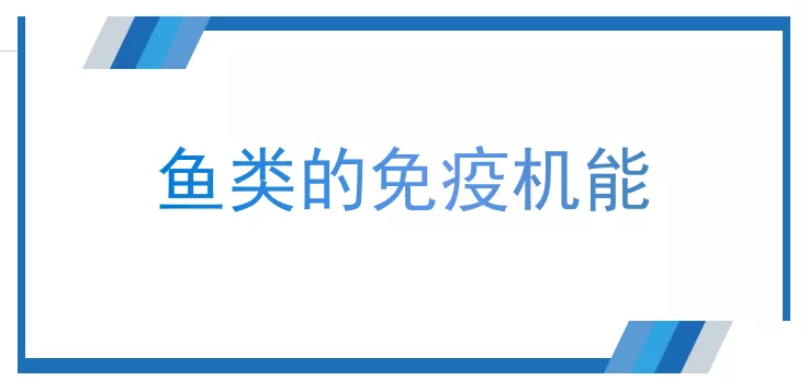 如何降低風險？水溫、鹽度、PH等這7個指標關(guān)系水產(chǎn)養(yǎng)殖的成敗