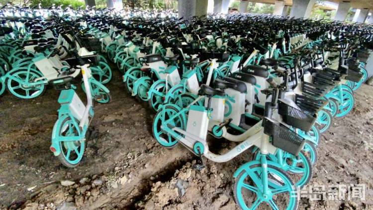 半岛独家丨太壮观！数千辆共享电动自行车藏身立交桥下！网友发问：危险不？车牌呢？