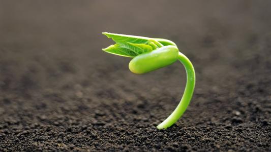 梦想成真！湖北理科第一名725分，她11年前的愿望是高考考720分