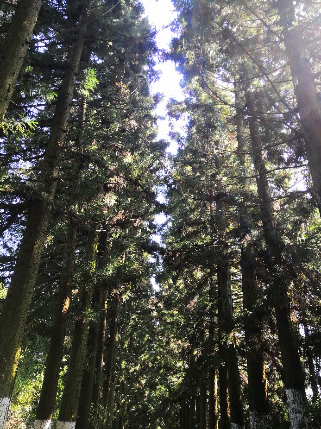 恩施历史上第一个状元——詹邈