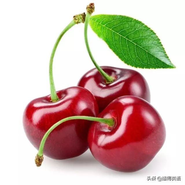ӵӢô(ju)ӵӢô-7ͼƬ-Ѷ(xun)