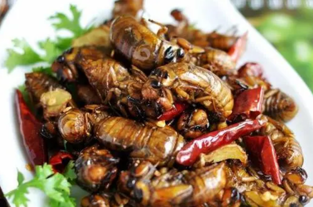 夏天吃知了猴,记住"3种能吃2种不吃",吃对才健康,不懂快看看