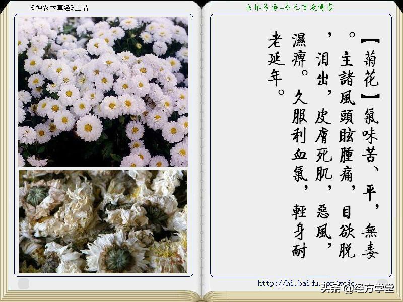 《神农本草经》全册图文解析 建议收藏