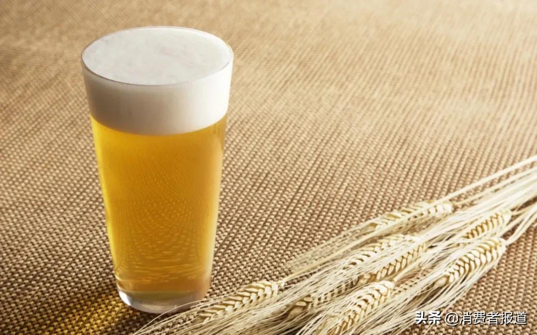 12款啤酒测试：哈尔滨、珠江等用料较“杂”；嘉士伯、青岛泡沫持久性垫底