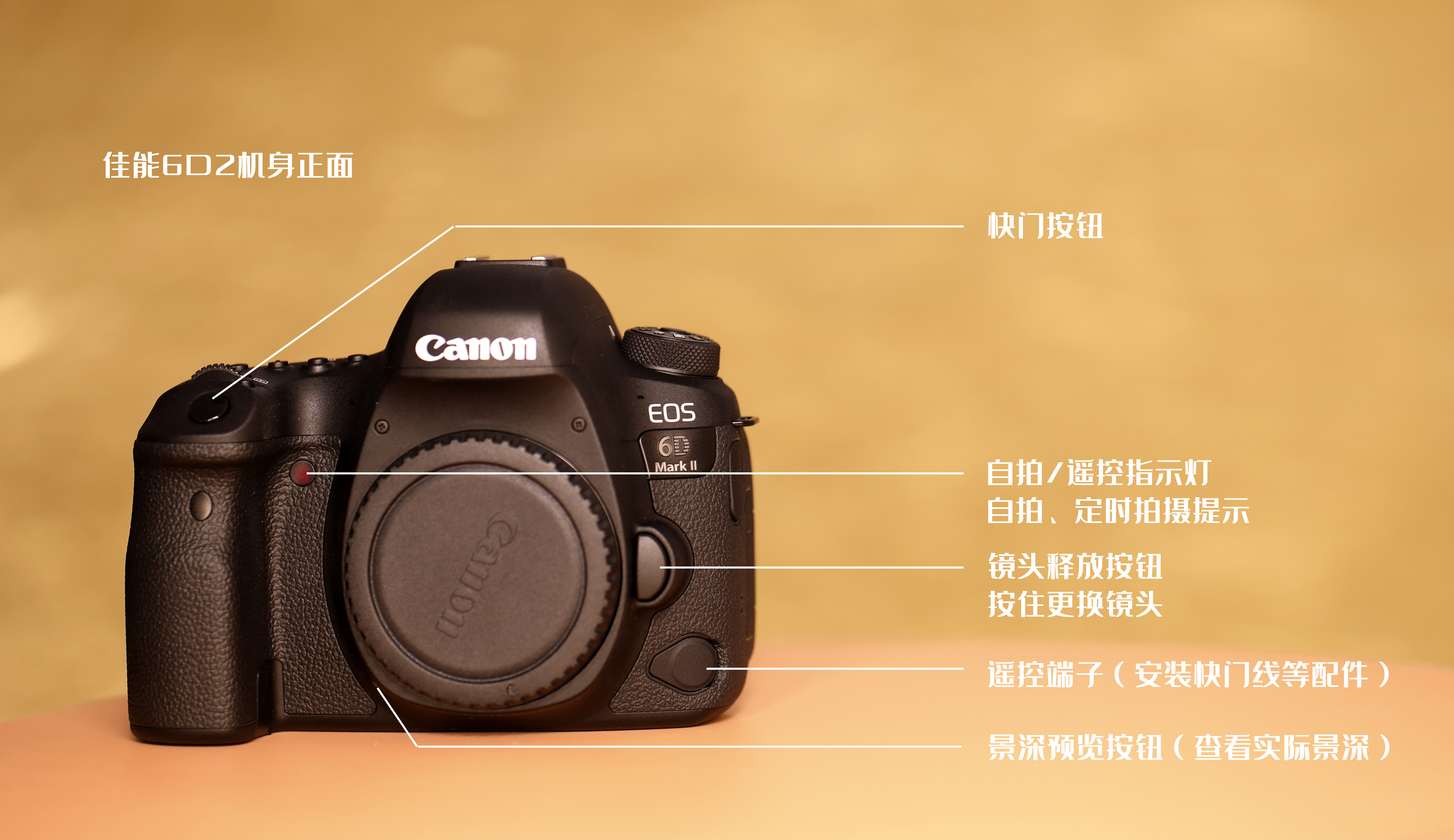 佳能单反按键功能讲解——佳能6D2、佳能5D4相机应用