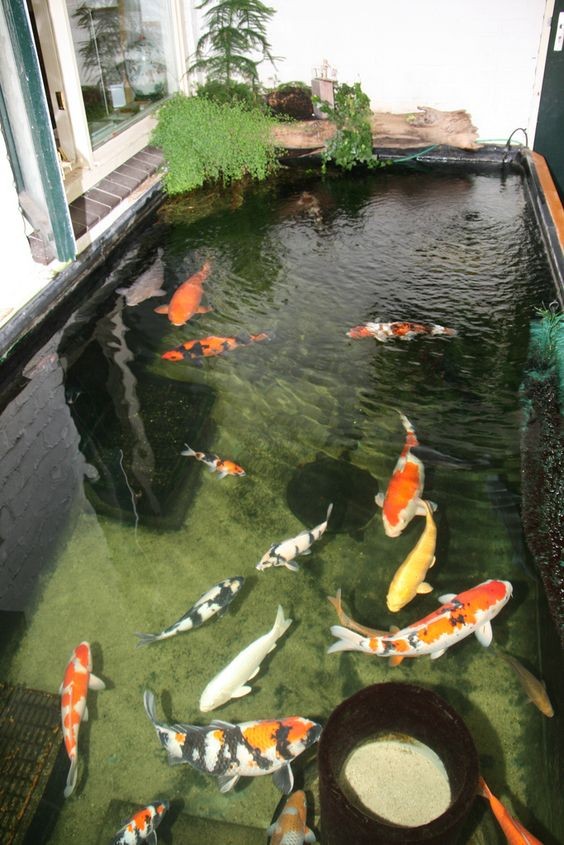 没有院子那就在阳台上挖鱼池，做好双重防水，造景瀑布好惬意享受