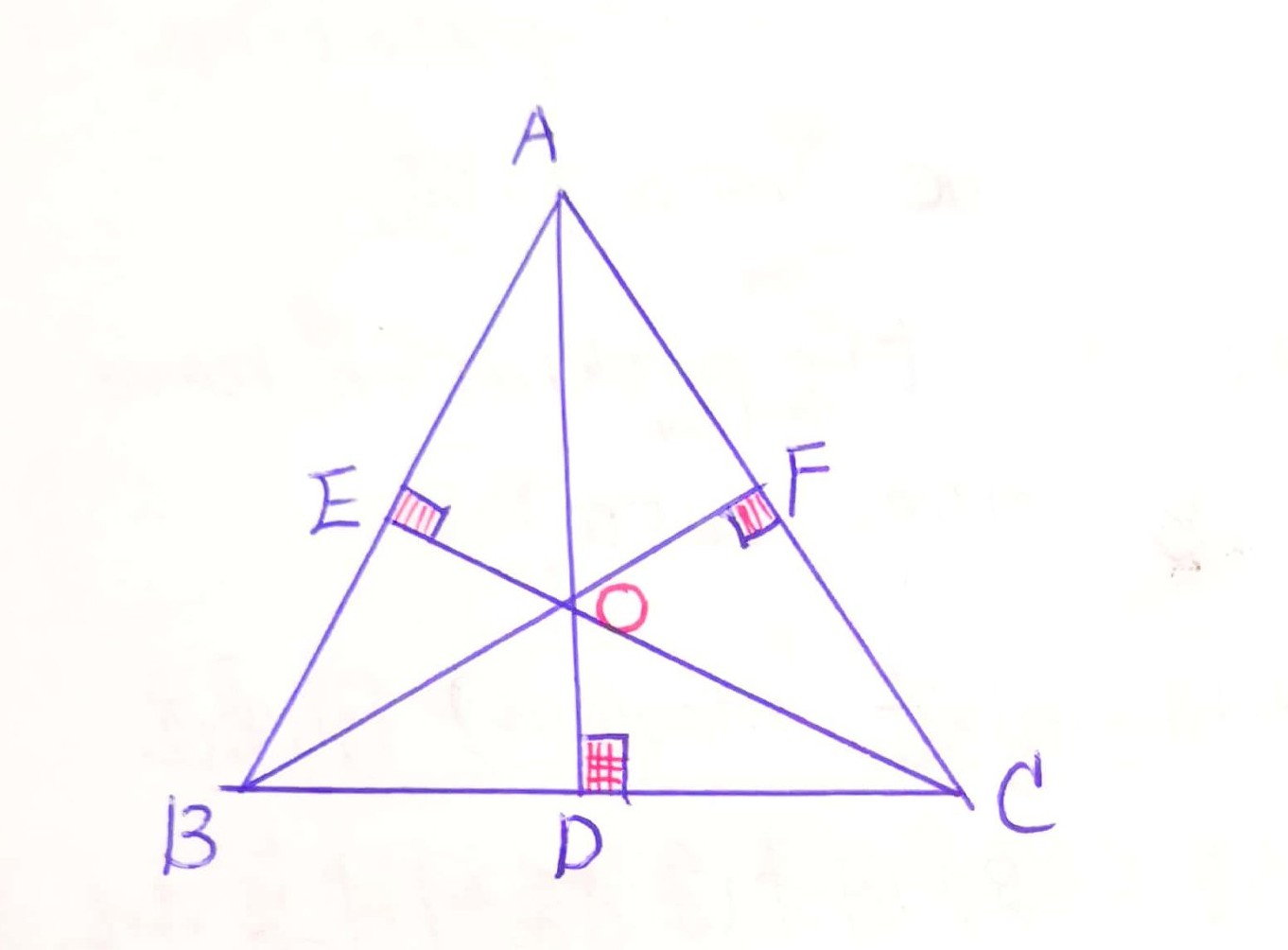 ʲô(xian)Ľ㣨(wai)ʣ-ʳƷ(pin)е