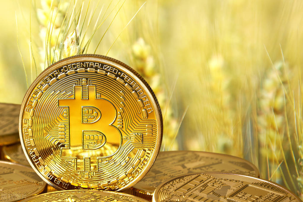 投资虚拟币1万1年如何盈利百万