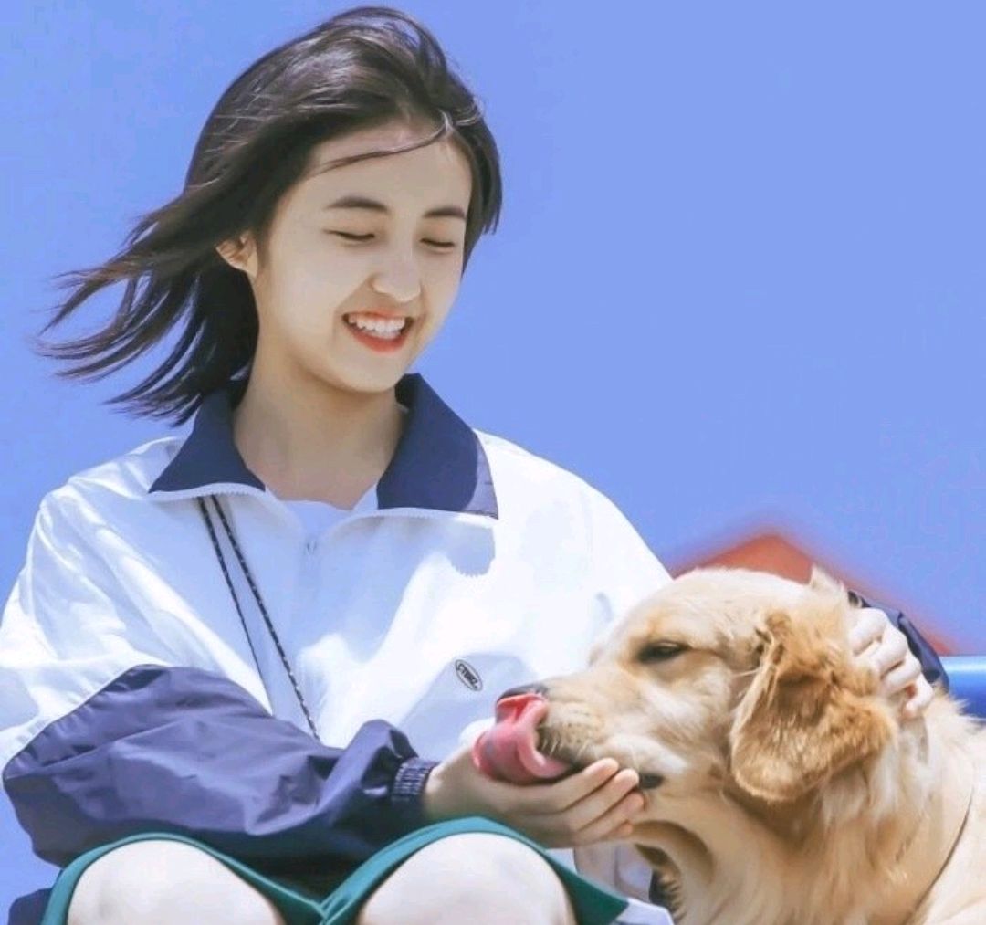 张子枫艺考成绩公布，河南省第一名，网友：为啥在高考大省河南考