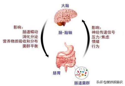 改善孩子多动、注意力缺陷，除了心理疏导，还有饮食营养四疗法