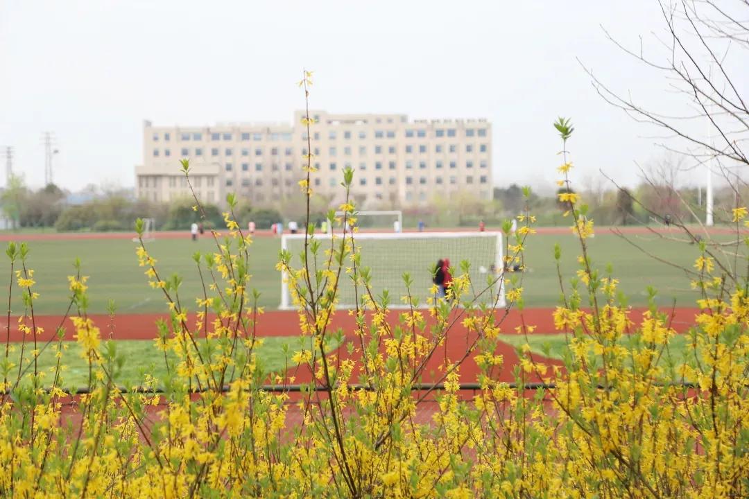 江苏省高校（五十一）南京航空航天大学金城学院