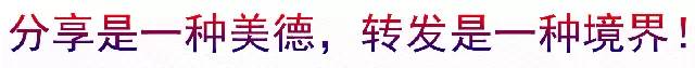 人与人之间，真诚相待，彼此尊重（经典）