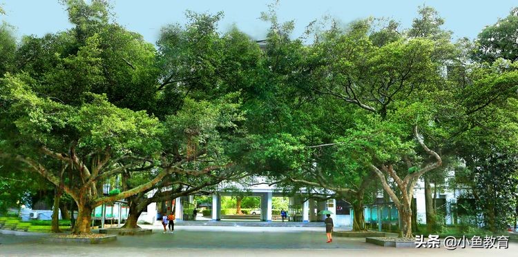 23个省中，2020年省内排名前5的大学！海南篇