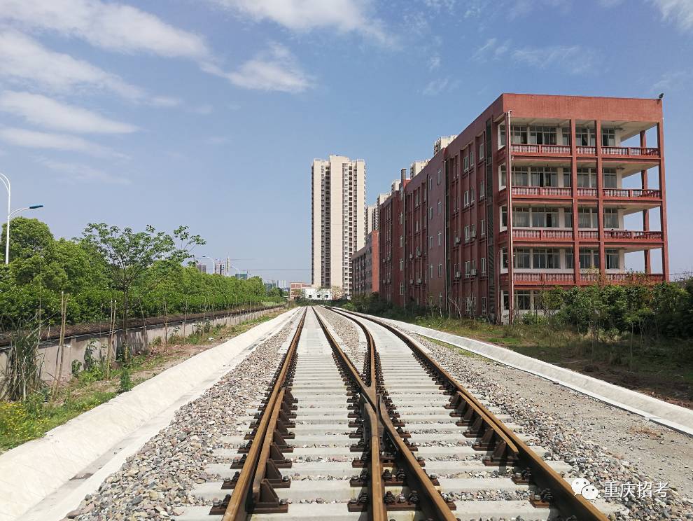 国内最新全部招收士官的大学及专业，专科录取，入伍捷径