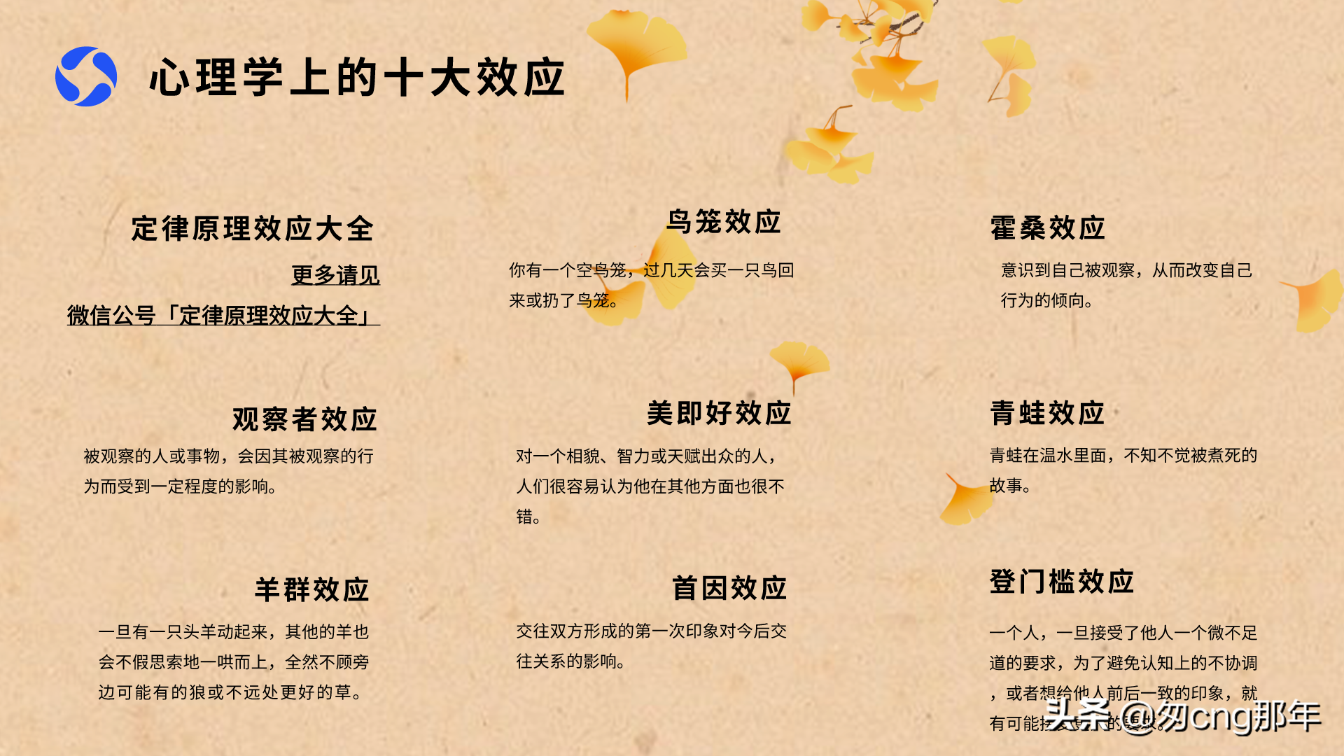 生活中不可不知的十大心理与行为定律：认知、决策与社交中的经典效应