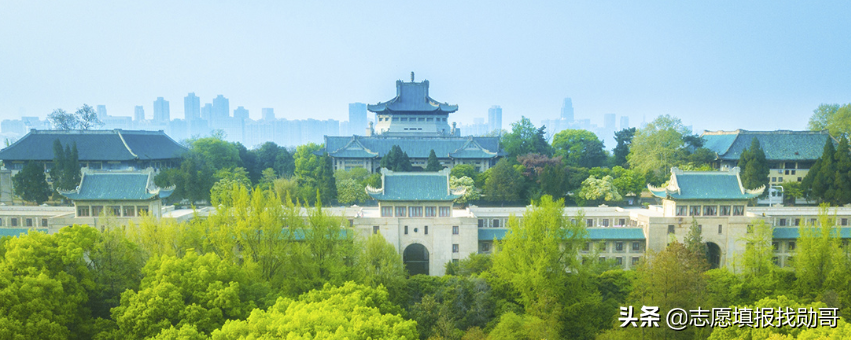 2017武汉大学排名（武汉大学最强的专业）