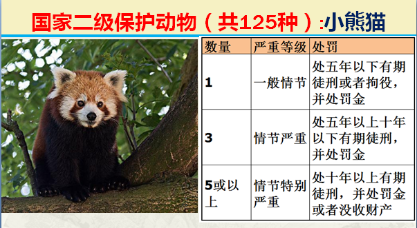 二级保护动物（国家最新125类二级野生保护名录）