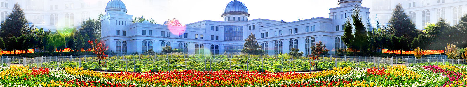 吉林大学（308护理综合）考研备考经验