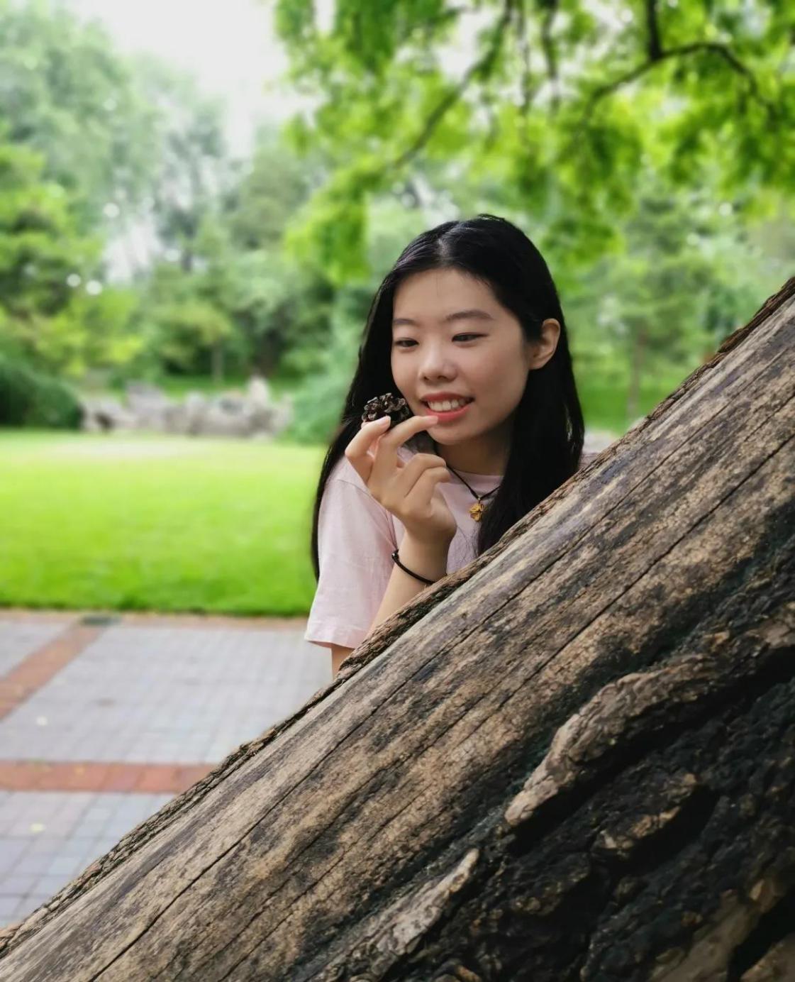 北京林业大学工学院（北京）