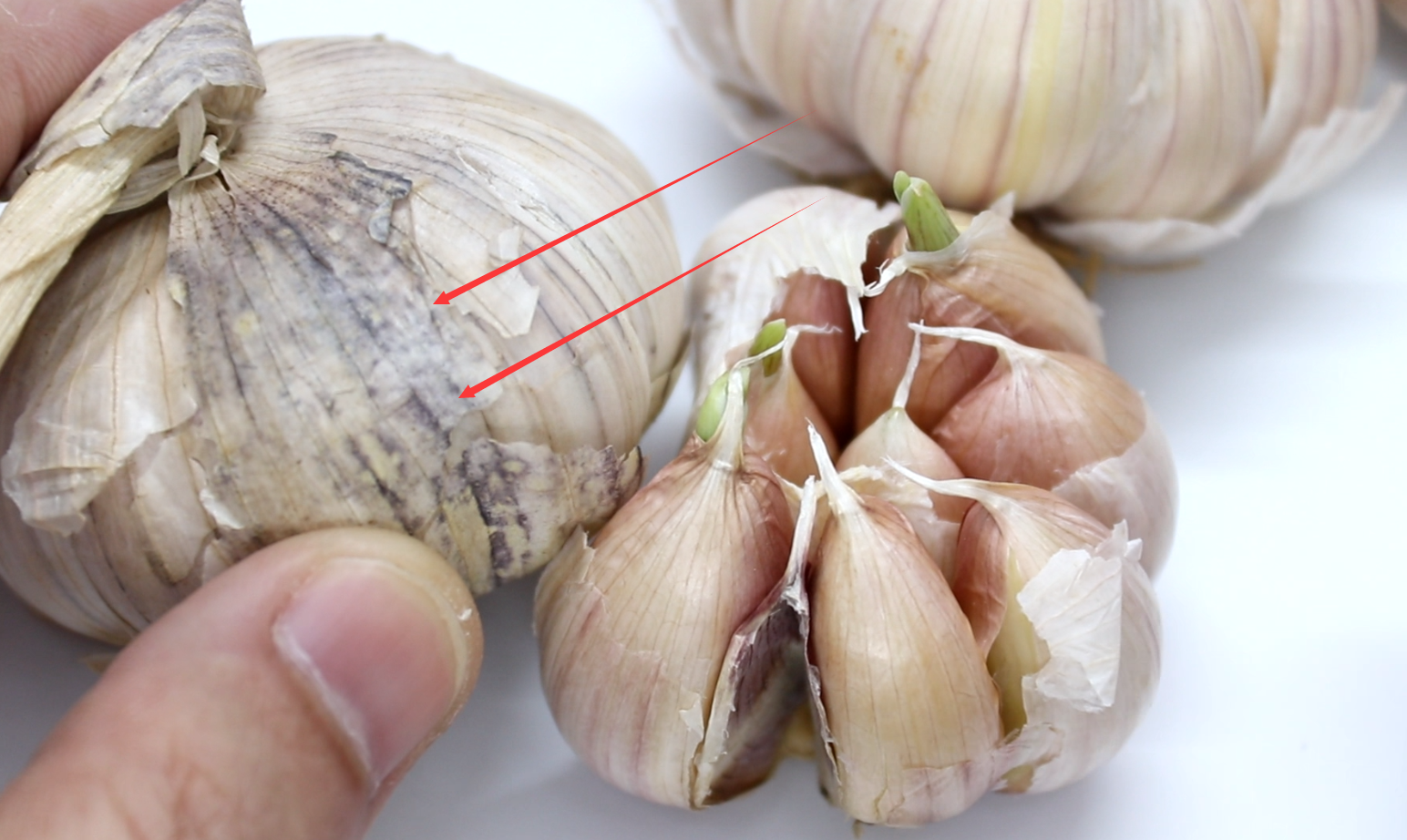 大蒜发芽能吃吗 这5种人不宜吃大蒜-星星快文
