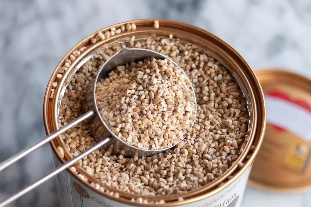 燕麦米图片(5类燕麦5种人生) - 赤虎壹号