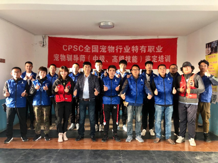 30余年训犬师刘晓伟10年间矫正不良行为问题犬2000余只