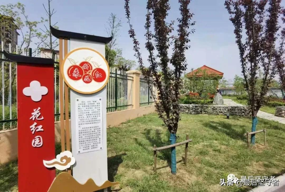 理想学校的样子