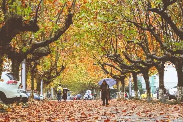 餐厅配备钢琴，三大校区美不胜收，还是西游记拍摄地！四川这所高校让人心动