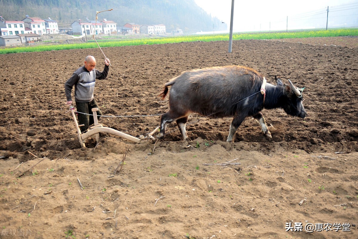 承包地延期30年，确权证书还有用吗？确权证多出来的土地归谁？