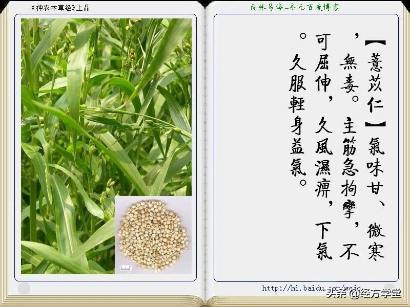 《神农本草经》全册图文解析 建议收藏